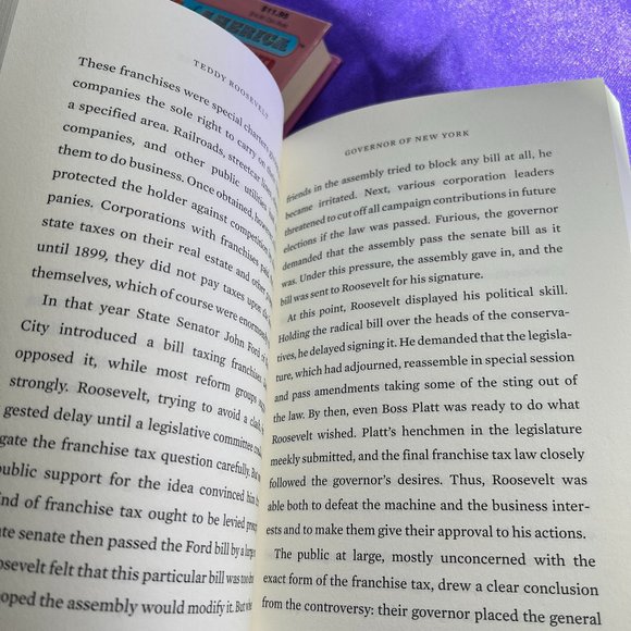 📌Sterling Point Books: Teddy Roosevelt Eleanor Roosevelt (Heroes of America) - Picture 9 of 12